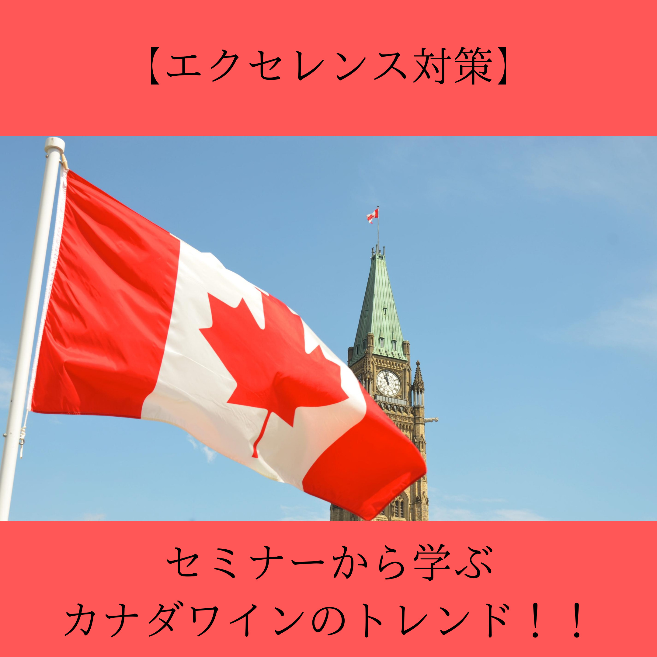 カナダの国旗の画像